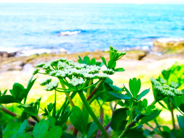 �n�}�{�E�t�E��