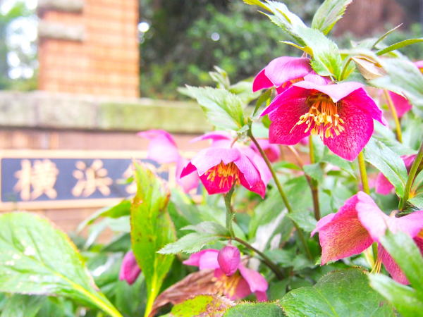 �N���X�}�X���[�Y���l����