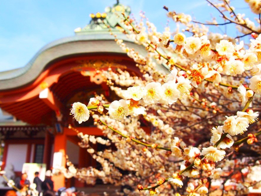 �k��V���{�E���ԉ摜