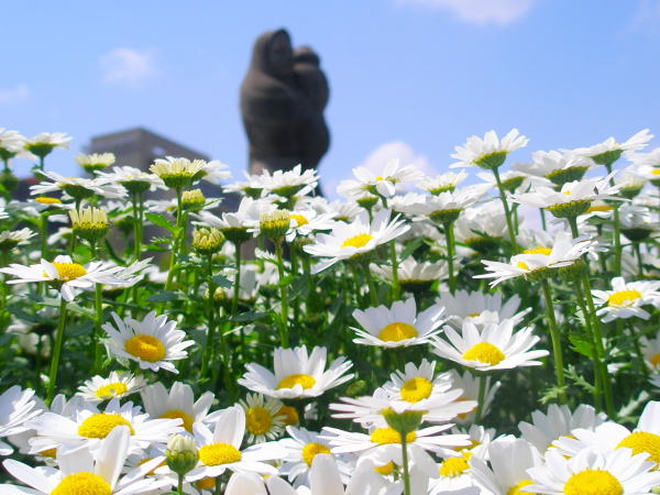 �m�[�X�|�[���R������