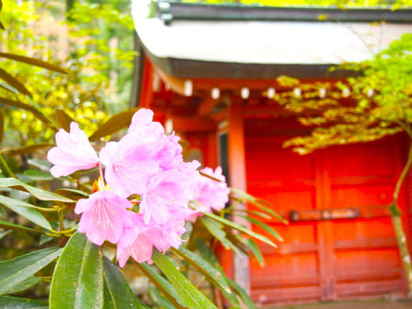 �V���N�i�Q�ԎO��@