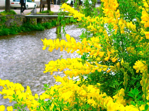 �G�j�V�_����