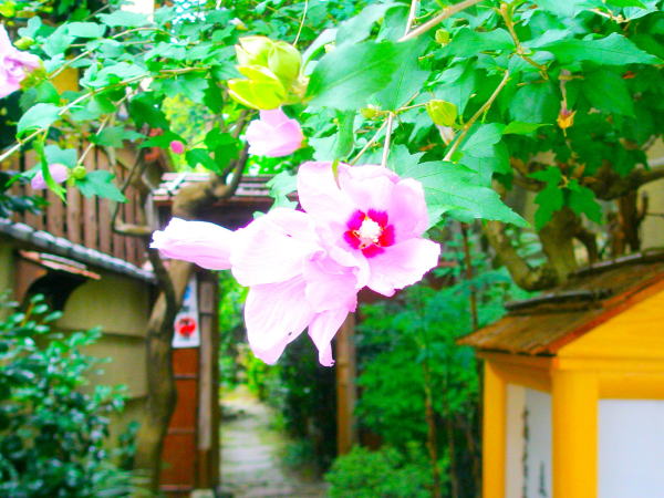 ���N�Q1�N��