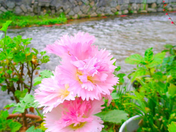 ���s����^�`�A�I�C