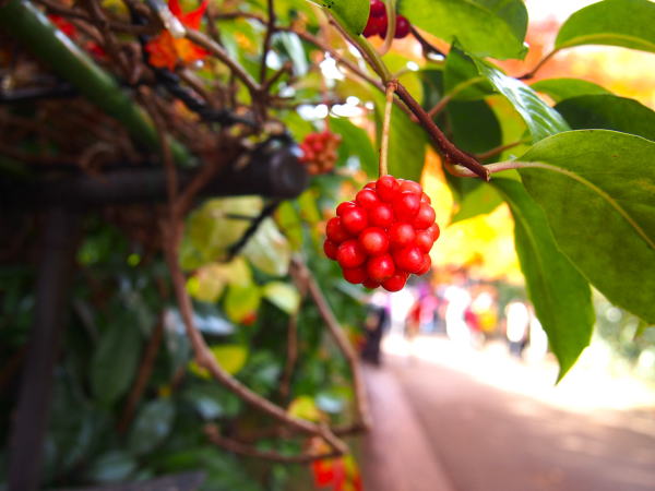 �T�l�J�Y����������