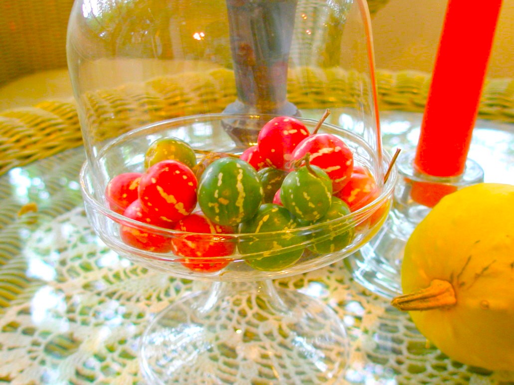 オキナワスズメウリ実の飾り写真