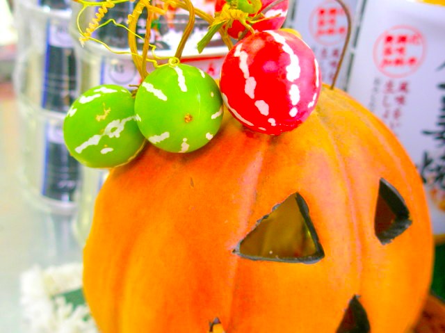 オキナワスズメウリ実画像