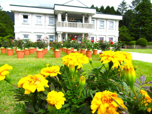 �����}���[�S�[���h��