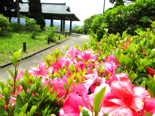 �����T�c�L��