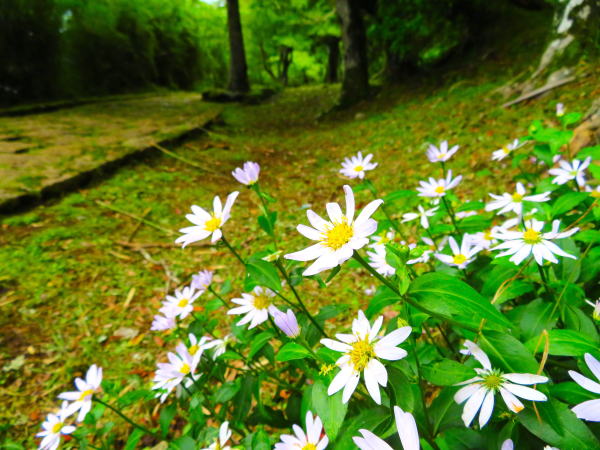 �����~���}�����i��