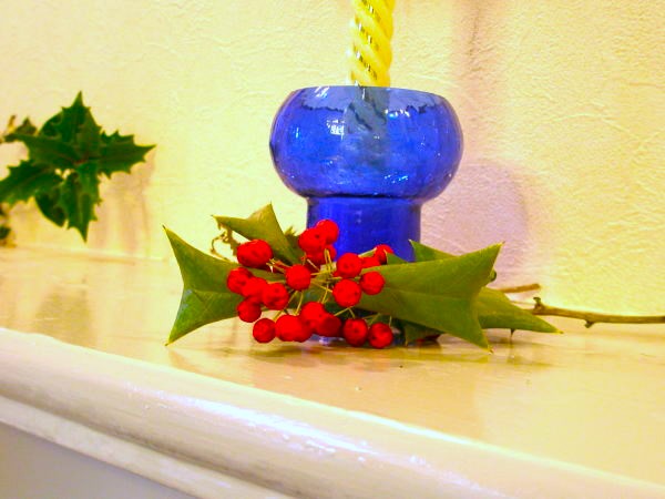 シナヒイラギ実画像