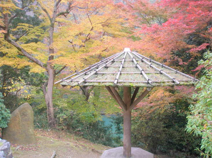 亀山公園紅葉