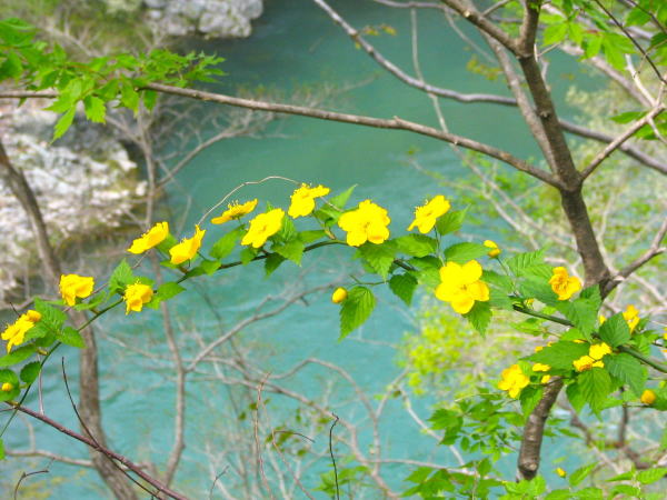 ���}�u�L��