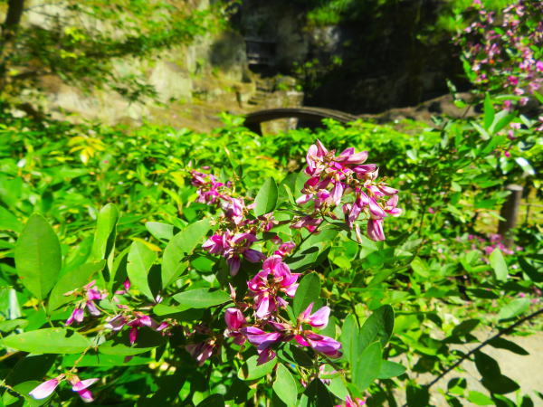 �n�M�Ԑ���