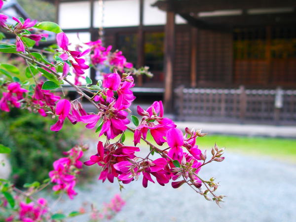 �n�M�ԏ������