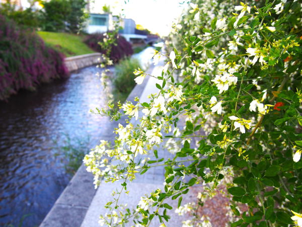 �n�M�ԎD�y�n����