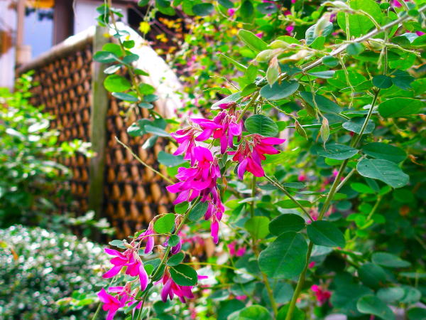 �n�M�ԓ�T��