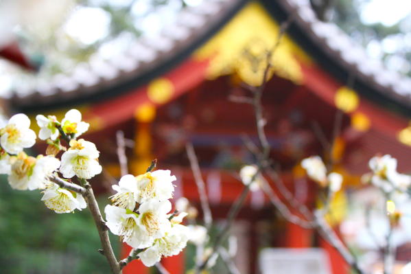 �E���߉������{