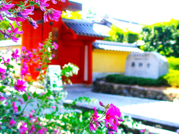 �ޗǖ�t���n�M��