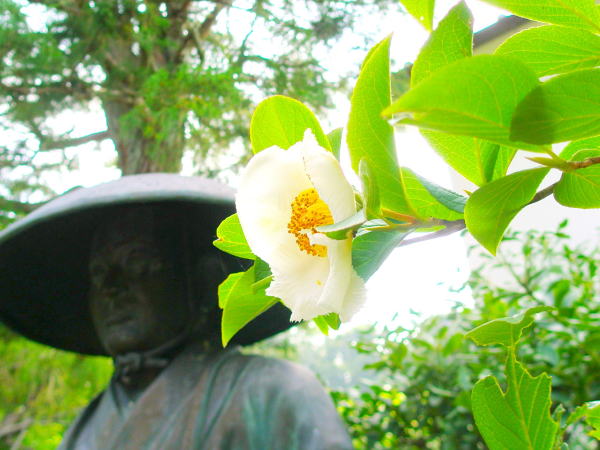 �i�c�c�o�L��