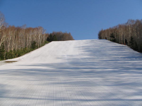 �u�ꍂ���Ċz�R�X�L�[���]�[�g