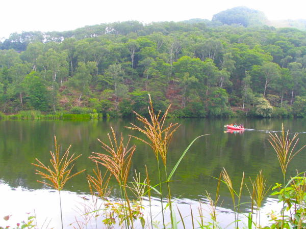 �u�ꍂ���X�X�L