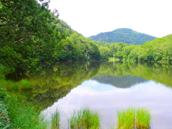 �u�ꍂ�����r