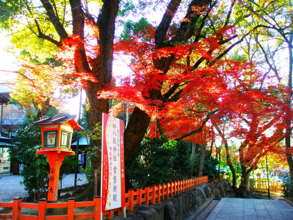八坂神社紅葉画像